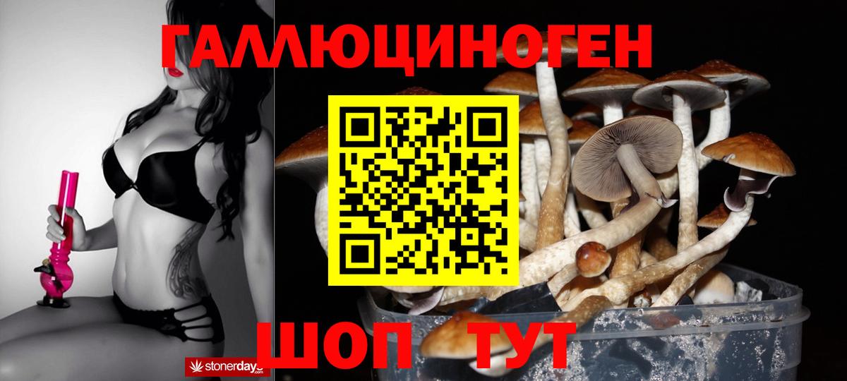 Псилоцибиновые грибы Cubensis Лабинск